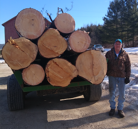 Mark's own trees sawed for lumber and loaded into a trailer